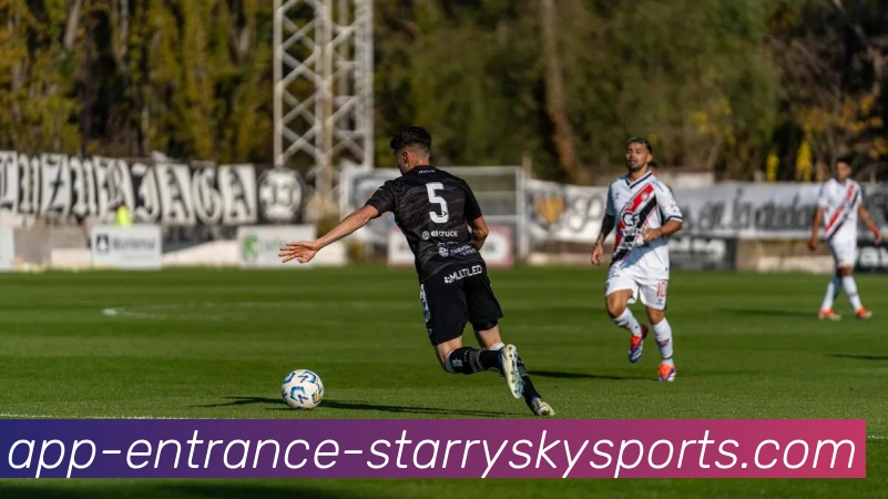 星空体育平台生态图